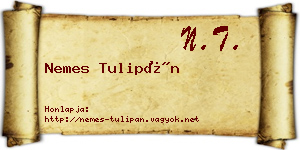 Nemes Tulipán névjegykártya